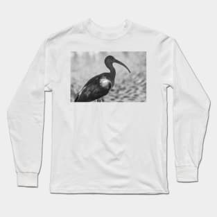 American white ibis   black and white 3 Long Sleeve T-Shirt